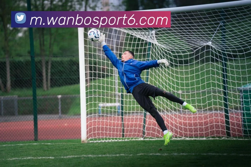 万博体育平台生态图