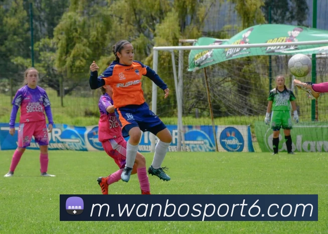 万博体育APP 封面图